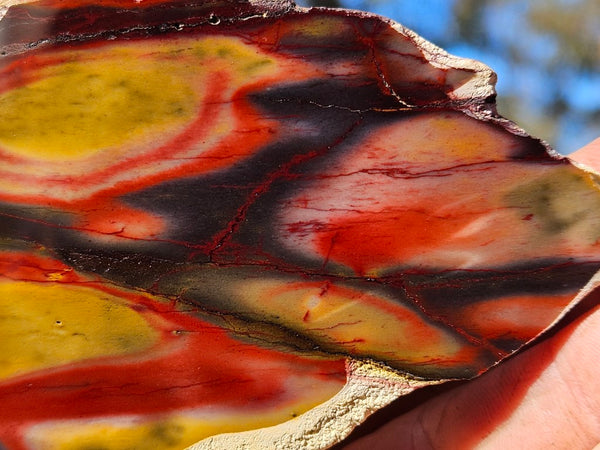 Polished Mookaite slab MK490