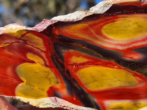 Polished Mookaite slab MK490