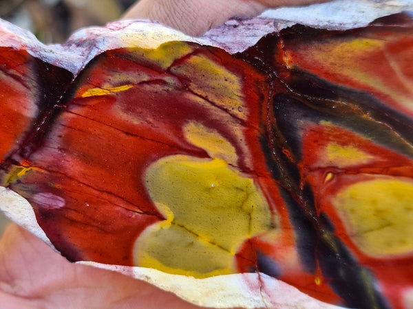 Polished Mookaite slab MK490