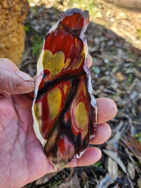 Polished Mookaite slab MK490