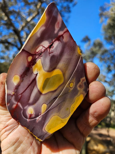 Polished Mookaite slab MK488