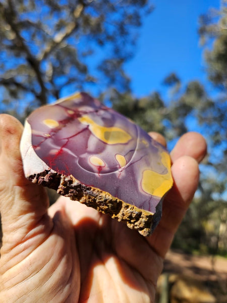 Polished Mookaite slab MK488