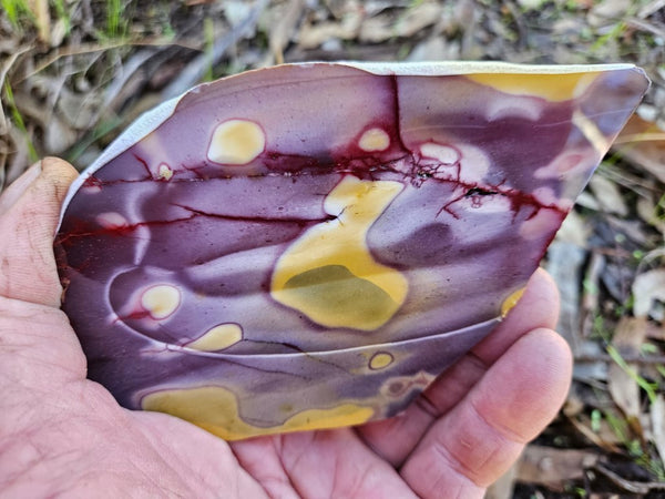 Polished Mookaite slab MK488