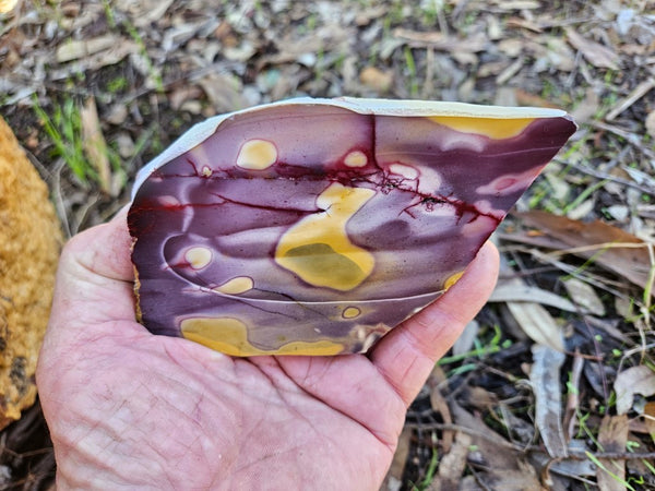 Polished Mookaite slab MK488