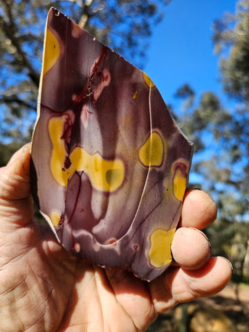 Polished Mookaite slab MK489