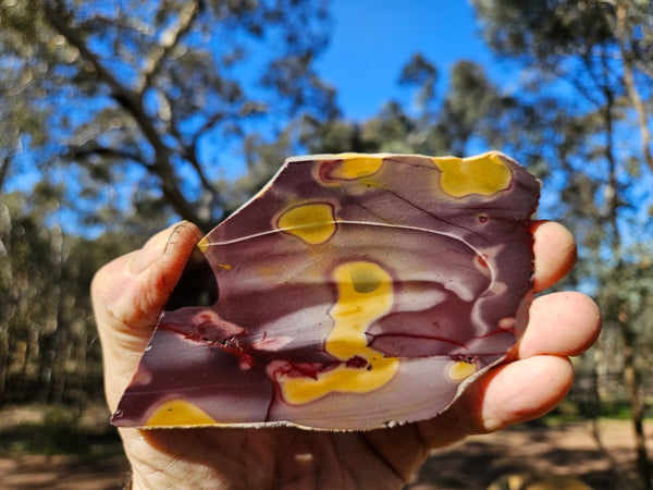 Polished Mookaite slab MK489