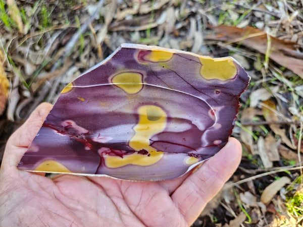 Polished Mookaite slab MK489