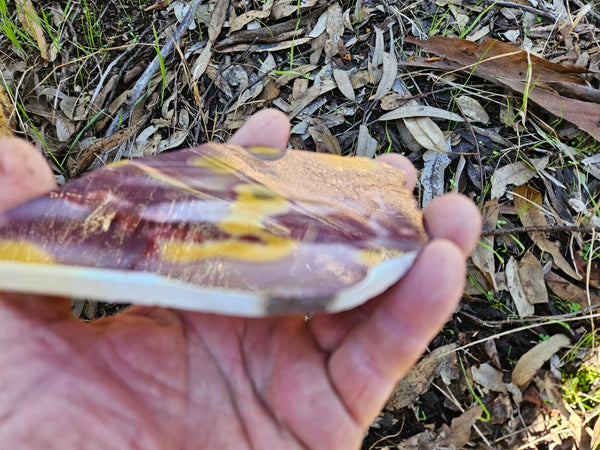 Polished Mookaite slab MK489