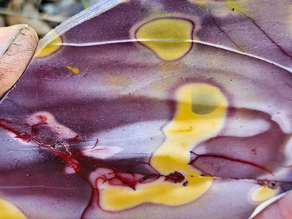 Polished Mookaite slab MK489