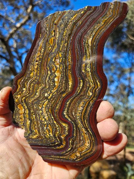 Polished Tiger Iron slab TI324