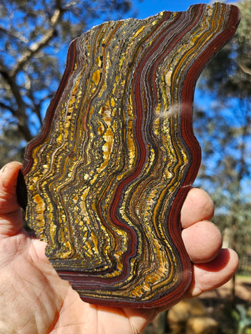 Polished Tiger Iron slab TI324