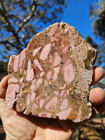 Polished Brecciated Pink Opal  slab POP191