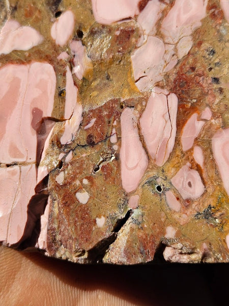 Polished Brecciated Pink Opal  slab POP191