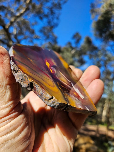 Polished Mookaite slab MK491