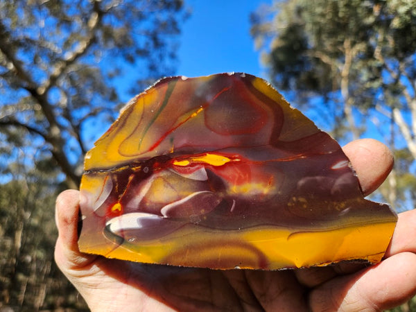 Polished Mookaite slab MK491