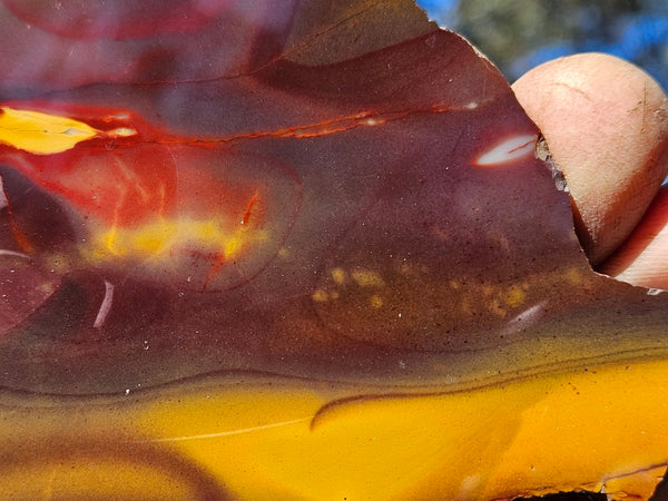 Polished Mookaite slab MK491