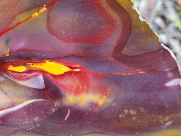 Polished Mookaite slab MK491