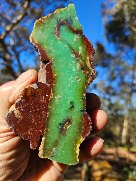 Polished  Chrysoprase  CH464