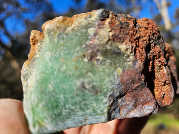 Polished  Chrysoprase  CH464