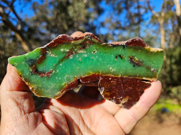 Polished  Chrysoprase  CH464