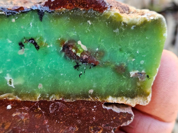 Polished  Chrysoprase  CH464