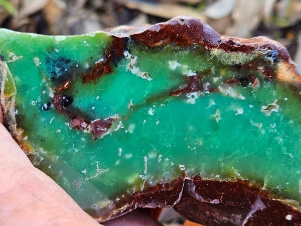 Polished  Chrysoprase  CH464