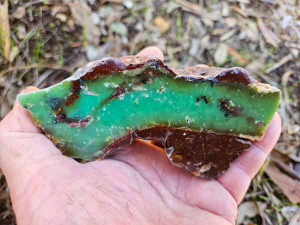 Polished  Chrysoprase  CH464