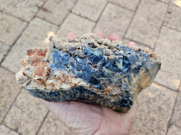 Dendritic Opal  rough.  DOR247