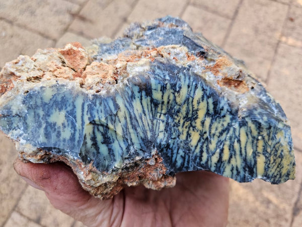 Dendritic Opal  rough.  DOR247