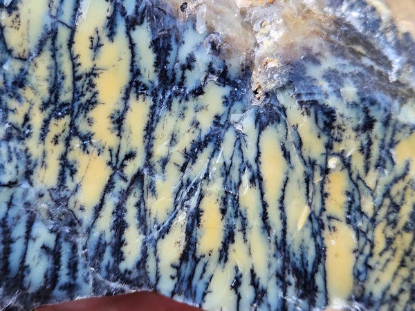 Dendritic Opal  rough.  DOR247