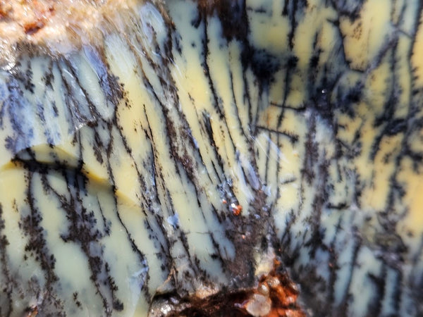 Dendritic Opal  rough.  DOR247