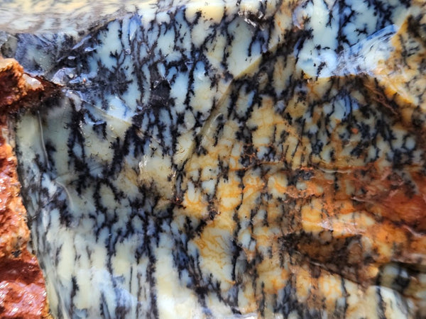 Dendritic Opal  rough.  DOR247