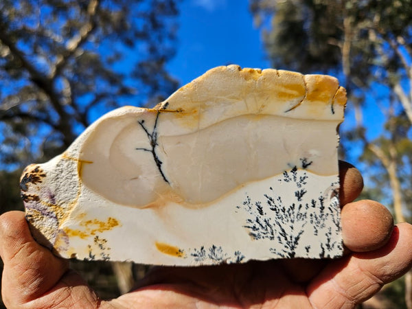 Polished Dendritic Mookaite slab MK492