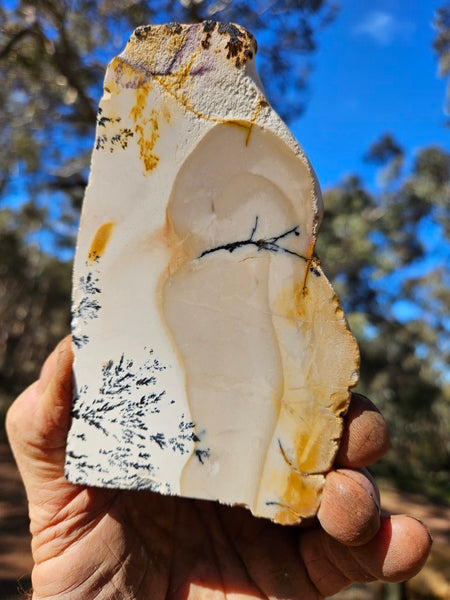 Polished Dendritic Mookaite slab MK492