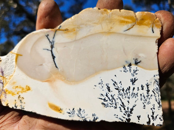 Polished Dendritic Mookaite slab MK492