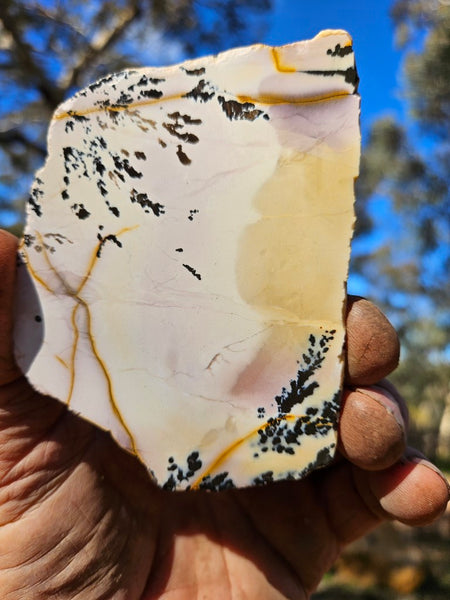 Polished Dendritic Mookaite slab MK493