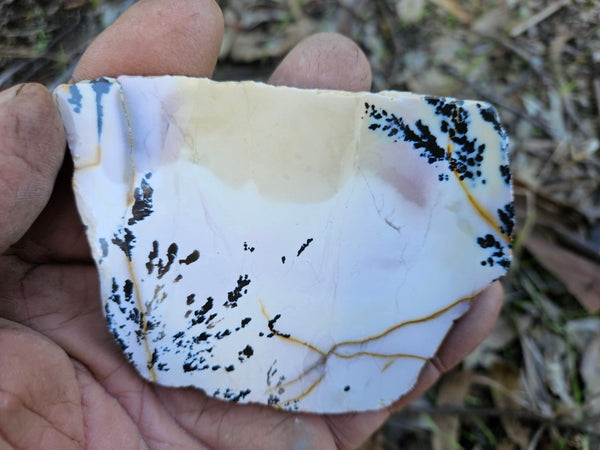 Polished Dendritic Mookaite slab MK493