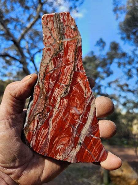 Starry Jasper polished slab SJ148