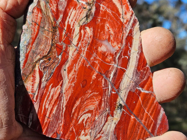 Starry Jasper polished slab SJ148