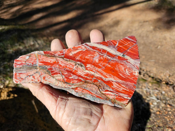 Starry Jasper polished slab SJ148