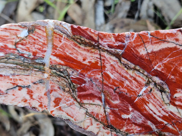 Starry Jasper polished slab SJ148