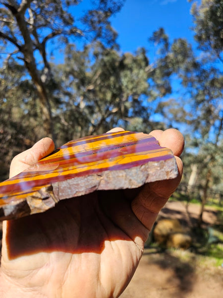 Polished Desert Sunset slab DS191