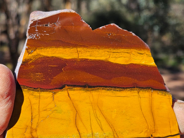 Polished Desert Sunset slab DS191