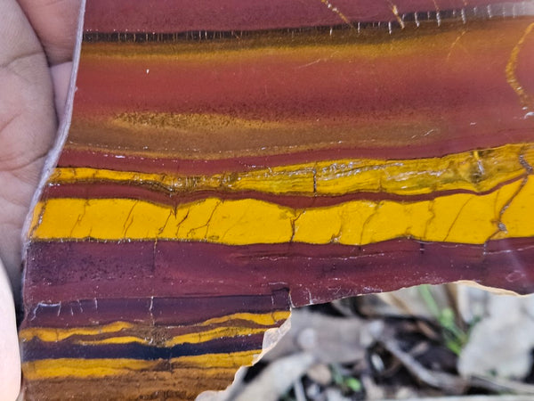 Polished Desert Sunset slab DS191