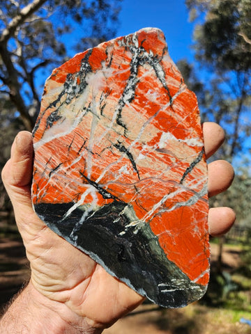 Starry Jasper polished slab SJ149