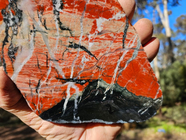 Starry Jasper polished slab SJ149