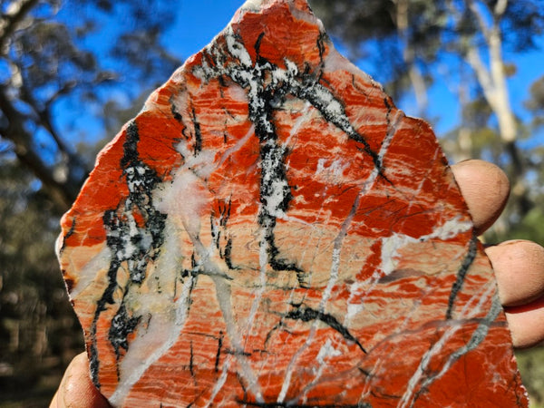 Starry Jasper polished slab SJ149