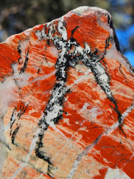 Starry Jasper polished slab SJ149