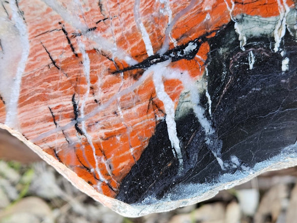 Starry Jasper polished slab SJ149