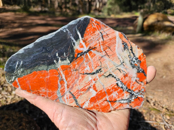 Starry Jasper polished slab SJ149